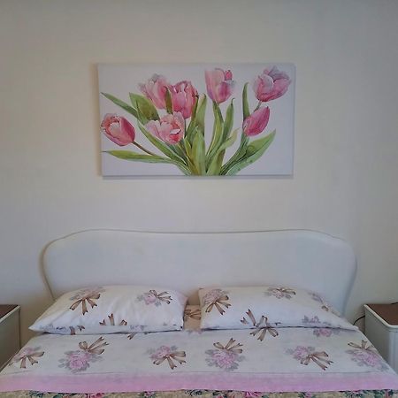 Casa Emilia 호텔 Marano Principato 외부 사진
